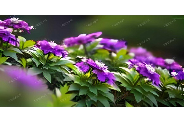 杭州Oto按摩椅，全方位养生放松神器”